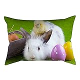 BIBOKAOKE Ostern rechteckiger Kissenbezug 30x50cm Kissenbezüge Garland Bunte Eier Druck Dekor Kissenhülle Moderne Osterdekoration Festival Zierkissenbezüge für Stühle & Gartenmöbel