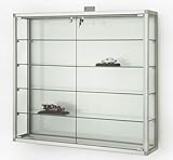 MHN Wandvitrine abschließbar Hängevitrine beleuchtet Sammler Vitrine groß Wand hängend Sammlervitrine Glasvitrine Alu mit Schloss 100 cm breit CPq