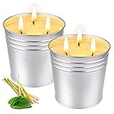 Citronella Kerze Groß Outdoor, OFUN 2 * 15oz Zitronella Kerzen Set mit 3 Docht, Natürliche Sojawachs Zitronengras Kerzen für Garten, Camping, Indoor, Grillen, Picknicks, Schlafzimmer, Sommergeschenk