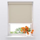 Elektrisches Rollo Easy Soft - Verdunklung - Beige - 180 x 190 cm - CMD-03