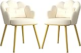 Lederstühle für Küche, Esszimmer, modernes Schlafzimmer, Ehezimmer, Balkon, Sofa, Stuhl, Schminktisch, Make-up-Stuhl (Farbe: Weiß), 2 Stück
