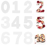 MAX COOK 9 Stück Zahlenform zum Backen Große Backform Zahlen 0-8 Kuchenform Zahlen Set Anzahl Back Kuchen Form für Hochzeit Geburtstag Jahrestag Tortendekoration(12 Zoll)