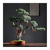 PAREKS Künstlicher Bonsai-Baum, künstlicher Bonsai-Baum mit Keramiktöpfen, Kunstpflanzen for Zuhause, Büro, Bauernhaus-Dekorationen, hoch, 21,6 Zoll, gefälschte Bonsai-Dekoration