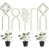 5 Stück Zimmerpflanzen-Rankgitter, kleine Metall-Rankhilfe für Kletterpflanzen, Topfpflanzen, Zimmerpflanzen-Rankhilfe für Töpfe, Gartenpflanzen, Stützstäbe für Hoya, Pothos, Blume, Monstera