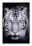 andiamo moderner Teppich Tiger Leopard, Kurzflor, Tiermotiv Digitaldruck, Designteppich für Schlafzimmer Wohnzimmer Kinderzimmer, Farbe:Schwarz-Weiß, Größe:100 x 150 cm