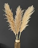 Pampasgras XXL natürlich getrocknet - 120cm gesamt - Extragroße Puschel - Pampasgras groß schön fluffig - Trockenblumen Deko Boho Style - Pampasgras Deko ungefärbt - getrocknete Blumen