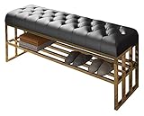 DAZulI Schuhschrank Eingangsbank Schuh-Organizer Schuhregal Bank, Luxus Eingang Edelstahl Schuhwechsel Hocker, Ledersofa und Hocker, Moderne Schlafzimmer Bett End Hocker Bank (Farbe: Noir)