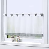 Joyswahl Bistrogardine Voile Schlaufen Scheibengardine Mia Küchen Transparenter Vorhang HxB 60x120cm Grau 1er Pack