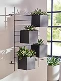 Dekoleidenschaft Wandpflanzer Industrial aus Metall, schwarz, Gestell + 4 Pflanzkästen, Wandhalterung mit Blumentöpfen, Wandpflanztopf, Wand-Pflanzgefäß, Wand-Deko