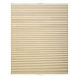 Wohn-Guide PKV.120.130.05 Plissee Klemmfix, ohne Bohren, verspannt - Creme 120 cm x 130 cm (B x L)