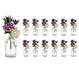 casavetro 12 x kleine Vasen Set New-Bost-250-Band inklusiver Glasfläschen Flasche Glas klar Deko Blumen-Vase Hochzeit (12 x 250 ml Schleife Weiss)