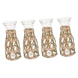 Garneck 4 Vasen Mit Botanischem Dekor Klare Vasen Hochzeitsdeko Landhaus-Blumenhalter Bauernhaus-Vase Einweihungsgeschenk Strohgeflechtvase Tischdekoration Glas-Blumentopf Für
