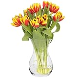 TREND FOR HOME Blumenvase Vase Glas Glasvase für Blumen Glasblumenvase Tischvase Dekovase Klarglasvase Deko-Vase aus Glas Wohnzimmer Deko Dekorative Vase | H. 18 cm | Poppy | 1229 ml