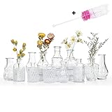 EylKoi Kleine Vasen Set 12St Kleine Vasen für Tischdeko mit Pinsel, Kleine Glasvasen Süße, Klare Minivasen Set Kleine Vasen Set Flaschenvasen Vintage für Rustikale Hochzeits Dekorationen,Zuhause