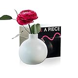 Sabrina Meissner® Ballonvase Bomb wunderschöne Keramik Blumenvase modern für Wohnzimmer Büro kleine Vasen für Tischdeko Kugelvase für Fensterbank Deko
