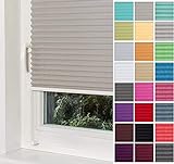 Home-Vision® Premium Plissee Faltrollo ohne Bohren mit Klemmträger / -fix (Grau, B45cm x H120cm) Blickdicht Sonnenschutz Jalousie für Fenster & Tür