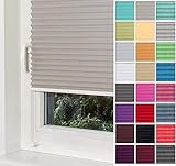 Home-Vision® Premium Plissee Faltrollo ohne Bohren mit Klemmträger / -fix (Grau, B45cm x H120cm) Blickdicht Sonnenschutz Jalousie für Fenster & Tür