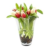 Glaskönig Glas - Vase aus Glas Höhe 27cm Ø ca.19cm - Moderne Blumenvase in Wellenform als Tulpenvase - mundgeblasene Glasvase im Vintage Design - Vase für einzelne Blumen (Höhe 27cm Ø ca.19cm)