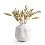 Vasen Set Keramik Vase mit Rillen Vase Weiß Matt Modern Keramik Blumenvasen Deko Vase Groß für Pampasgras als Boho Deko für Büro Wohnung Wohnzimmer Fensterbank Dekoration (Size : S)