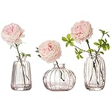 3er-Set Kleine Vasen für Tischdeko Dekorativ Glasvasen Blumenvase Set Bud Vase Kaffee
