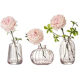 3er-Set Kleine Vasen für Tischdeko Dekorativ Glasvasen Blumenvase Set Bud Vase Kaffee