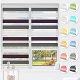 HOMEDEMO Doppelrollo Klemmfix ohne Bohren & mit Bohren, Rollos für Fenster und Tür, (Weiss-Lila-Anthrazit, 65x150cm) Duo Rollo Klemmrollo lichtdurchlässig