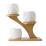 YWSTYllelty Hängetöpfe Blumentopf Kunststoff Eulentopf mit -Pflanztöpfen mit Ständer, Keramikständer, Pflanzen enthalten, Keine Dekoration und Aufhänger Keramik Übertopf Silber (White-E, One Size)