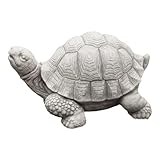 gartendekoparadies.dee Massive Steinfigur Schildkröte Kröte, Höhe 14 cm, 26 x 18 cm, Grau, Gewicht 5 kg, aus Steinguss frostsicher