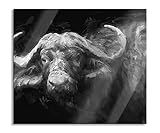 Pixxprint Wasserbüffel Herdabdeckplatte & Spritzschutz aus Echtglas | Für Herd-Kochfelder | 60x52 cm