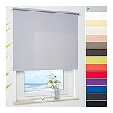 ourdeco® Rollo, Seitenzugrollo | Farbe hellgrau/Tageslicht, lichtdurchlässig | Bestellgröße 212 x 180 cm (BxH)