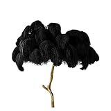 ENDBAG Moderne Feder Stehleuchte LED Feder Lampe Kupfer Harz Stehlampen For Wohnzimmer Schlafzimmer Boden Licht Deco Beleuchtung Weit verbreitet verwenden (Color : Resin, Size : 80CM_BLACK)