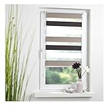 Liedeco® DUO Rollo Klemmfix - 60 x 160 cm braun/beige/weiß (Breite x Höhe) / 3 farbig / transparent lichtdurchlässig stufenlos verstellbar / leichte Montage ohne Bohren /Doppelrollo farbig zum Klemmen