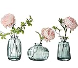 3er-Set Kleine Vasen für Tischdeko Dekorativ Glasvasen Blumenvase Set Bud Vase Grün