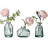 3er-Set Kleine Vasen für Tischdeko Dekorativ Glasvasen Blumenvase Set Bud Vase Grün