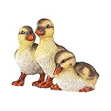 VERDOBA Entenküken Figuren Garten - Gartenteich Deko - Lebensgroße Figuren für die Teich Deko - Wetterfeste Enten Deko aus Polyresin für den Teich