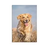 HOWDA LeinwäNde Deko Bilder Golden Retriever Glücklicher Hund Laufen Leinwand Poster Schlafzimmer Dekor Sport Landschaft Büro Raum Dekor Geschenk Leinwand Poster (40x60cm Kein Rahmen)