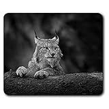 Lynx Cat Rocky Wild Mauspad #35353