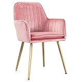 Esszimmerstuhl Stuhl für Esszimmer Esszimmerstühle Akzentstühle Weicher Flanellsitz und Rückenlehne Metallbeine Armlehne Stuhl für Wohnzimmer, Terrasse, Terrasse, Büro, Küche, Faulenzen bequem