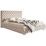 MOTIVENA Diana Chesterfield Bett, Polsterbett 160x200 mit Bettkasten, mit Kopfteil, ohne Matratze, Samt, Beige (Stauraumbett 160x200, Bett 160x200 mit Lattenrost, Bett 160x200 mit Stauraum)