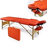 Mobile Massageliege - Aluminium oder Holzfüße mit 2 - 3 Zonen höhenverstellbar inkl. hochwertiger Kopfstütze Tasche Armlehnen - Farbwahl Klappbar, Massagetisch Massagebett Massagebank Behandlungsliege