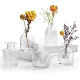Kleine Glasvase - Bud Vasen in Bulk Set von 5 verschiedenen Formen Vintage EylKoi, Mini Vasen klar für Blumen, Tisch, Mittelstücke, Wohnkultur, HochzeitQ