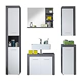 trendteam Badezimmer 5-teilige Set Kombination Miami, 175 x 184 x 34 cm in Korpus Rauchsilber Dekor, Front Weiß mit viel Stauraum