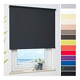 ourdeco® Rollo, Seitenzugrollo | Farbe dunkelgrau/Tageslicht, lichtdurchlässig | Bestellgröße 242 x 180 cm (BxH)
