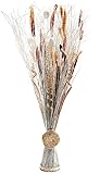 Kobolo Deko-Bündel -Kunstblumen und Naturfasern- weiß braun - 100 cm