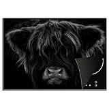 KitchenYeah© Herdabdeckplatte Einteilig Küche Herdabdeckung Ceranfeld Herdabdeckplatten Anti Rutsch Matte Aufrollbar Schottisches Hochlandrind - Kuh - Schwarz und Weiß - Tiere - 75x52 cm