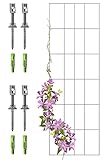 GARDELI® Rankgitter aus Edelstahl für Kletterpflanzen, 145 x 45 cm, rostfreie Rankhilfe mit Profi-Wandhaltern, für Clematis, Rosen, Glockenreben und mehr