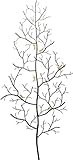 Kare Design Wandgarderobe Ants On A Tree, 160x68,5x7,5cm