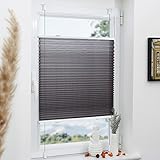 Plisees ohne Bohren Blickdicht80x110cm Anthrazit Plissee Klemmfix Faltrollo mit Klemmträger Sonnenschutz UV-Schutz Plisseerollo Jalousie für Fenster ohne Bohren