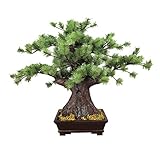 Künstliche Pflanzen Künstlicher Bonsai-Baum Künstlicher Bonsai im chinesischen Stil Einrichtungsgegenstände, Künstliche einladende Kiefern, Gefälschte Grünpflanzen, Wohnzimmer im Topf, Innendekoration