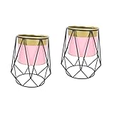 2 Stück nordischer Bodenpflanzer, schwarzer Behälter, Outdoor-Blumentopf, Bodenvasen, Luftausbreitungsstation, Edelstahl, Gartentopf, Blumenbeete, kreativer Blumentopf, Haushalts-Blumentopf aus E